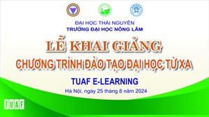 TB Khai giảng trạm Hà Nội đợt 3 ngày 25 tháng 8 năm 2024